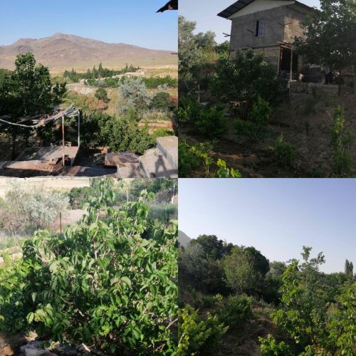 باغ 800متری بهمراه اتاق 30 متری