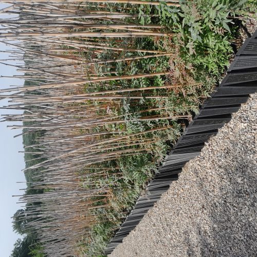 قیم برای گلخانه و نهالستان