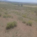 فروش زمین کشاورزی وباغ انواع