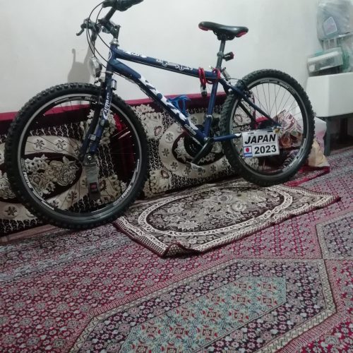 دوچرخه 26 تنه کوتاه مارک ویوا لاستیک جلو نو لاستیک عقب در حد نو