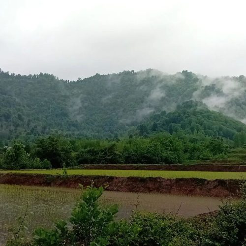 اجاره ویلا روزانه