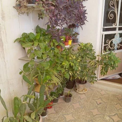 فروش فوری منزل50متری دوطبقه