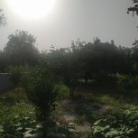 زمین هزارمتری