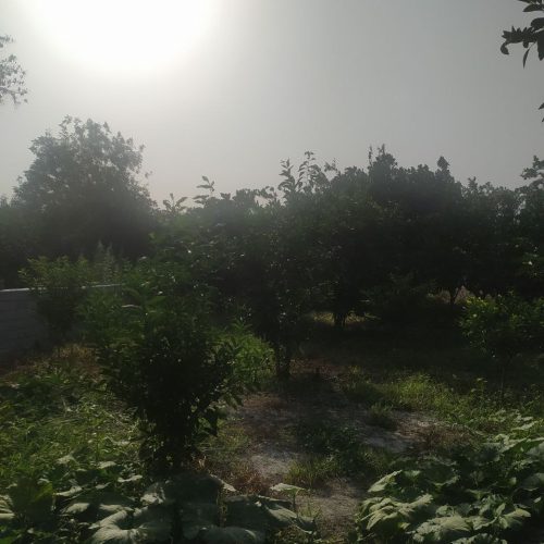 زمین هزارمتری