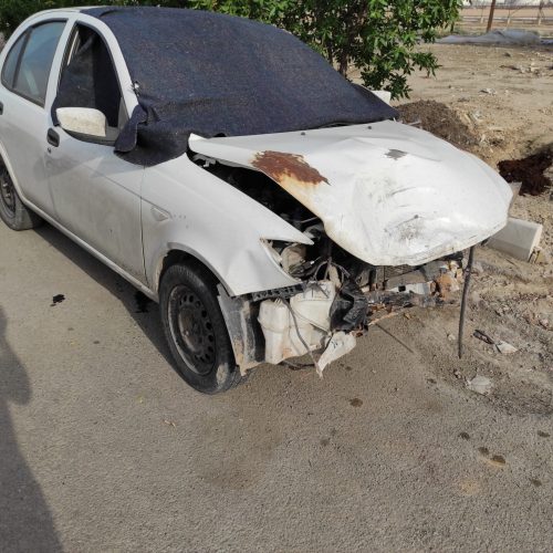 ساینا معمولی فروشی