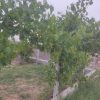 فروش زمین باغ