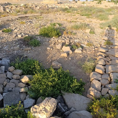 زرگان کوی فدک