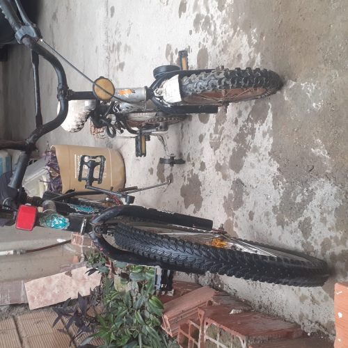 2 عدد دوچرخه