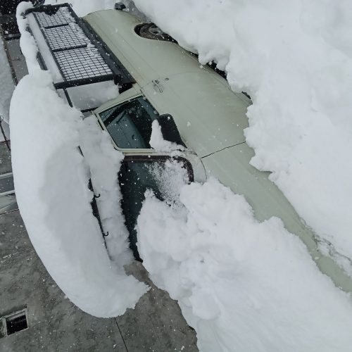 کفی مبلی وانت