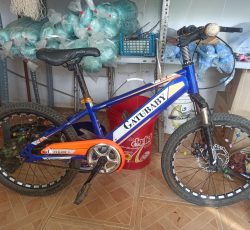 دوچرخه سایز 20 در حد نو.کاملا سالم.بدنه آهن.ترمز جلو و عقب دیسک