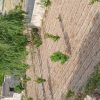 فروش زمین کشاورزی 15 من