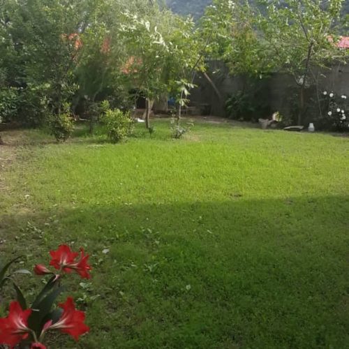 اجاره ویلایی