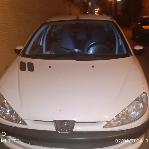 206سفید تیپ 3