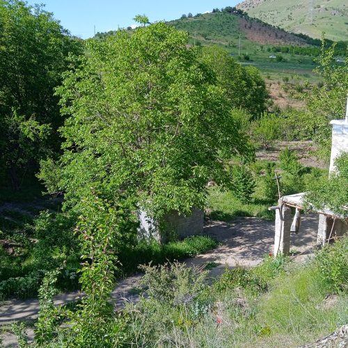 زمین وباغ عالی