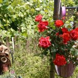 مغازه تجاری 22 متری شهرک پردیس