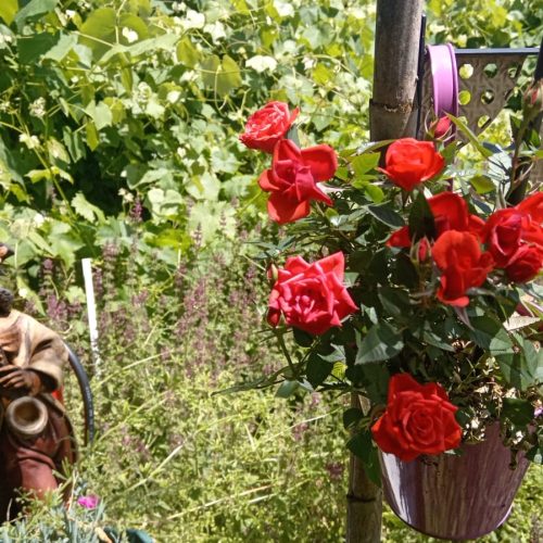 مغازه تجاری 22 متری شهرک پردیس