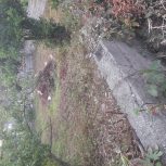 زمینی با مساحت 142  به فروش میرسد