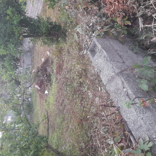 زمینی با مساحت 142  به فروش میرسد