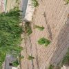 فروش زمین کشاورزی 15 من