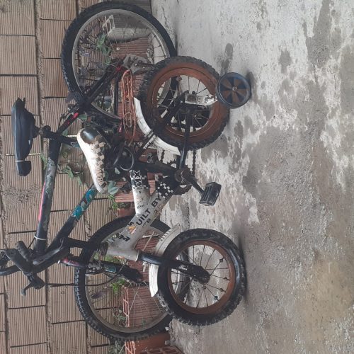 دوتا دوچرخه