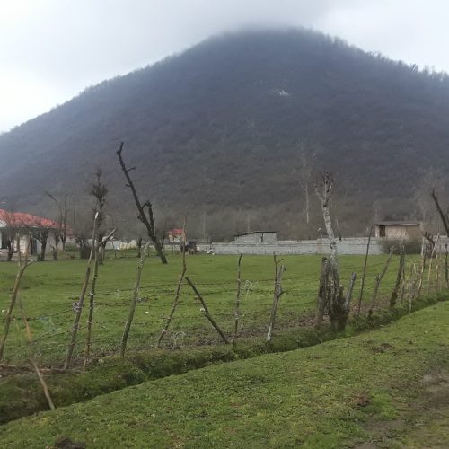 اجاره ویلایی