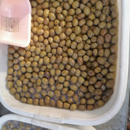 فروش انواع زیتون رودبار