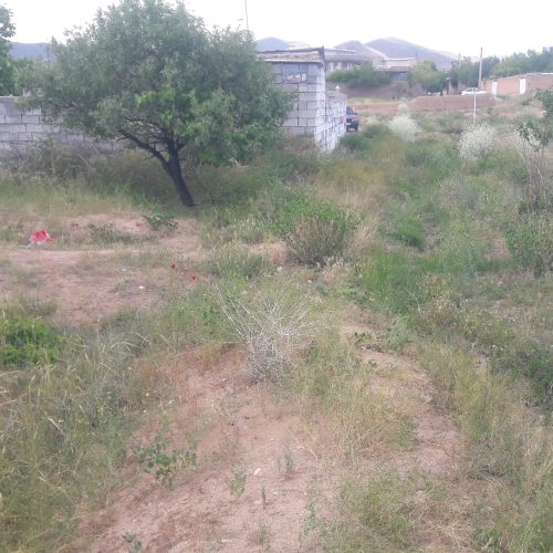 باغ موقعیت خوب کنار خیابان