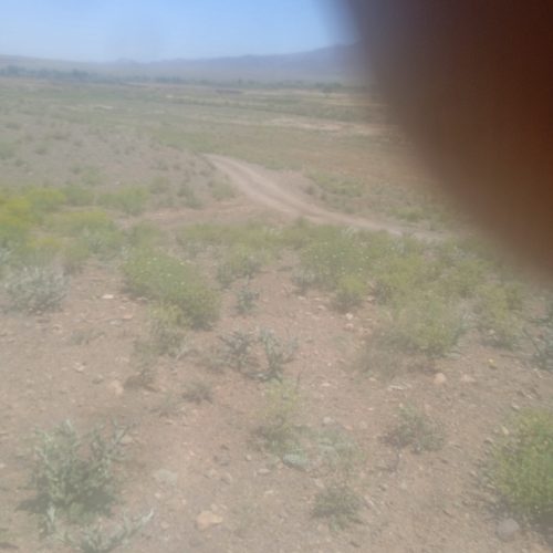 فروش زمین کشاورزی وباغ انواع