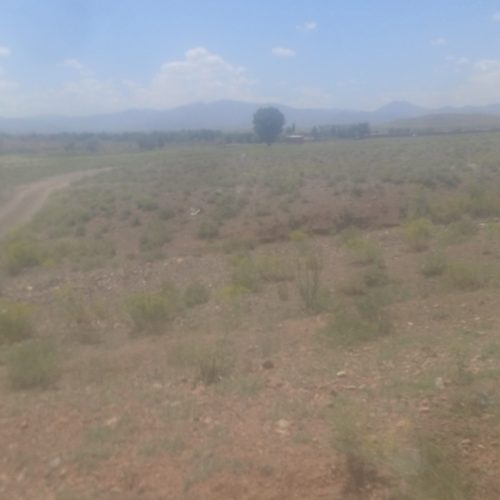 فروش زمین کشاورزی وباغ انواع