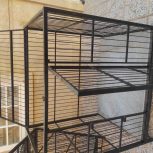 باکس حمل سگ شرکتی