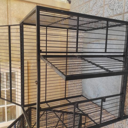 باکس حمل سگ شرکتی