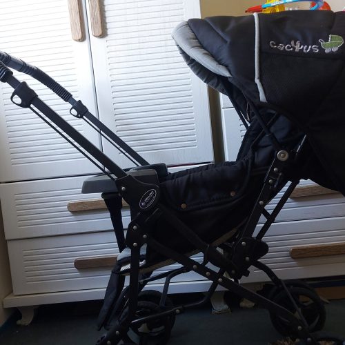 کالسکه دلیجان