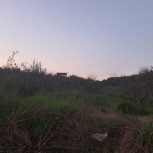 فروش زمین،باغ در شهر زیبای ارطه