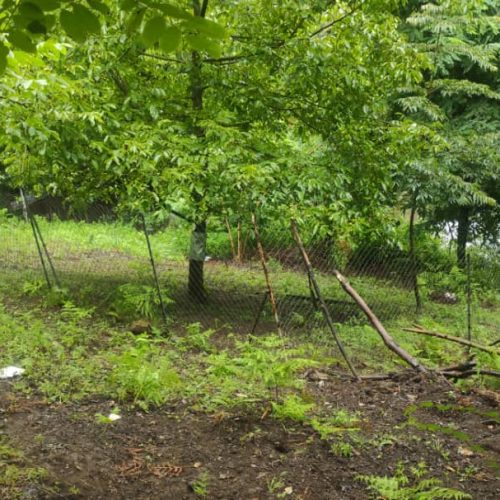 فروش زمین مسکونی