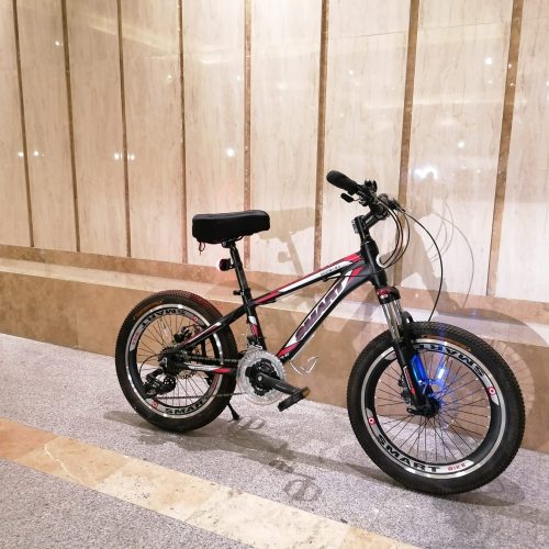 فروش دوچرخه در حد نو