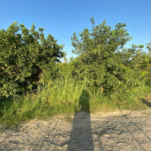 قیمت توافقی