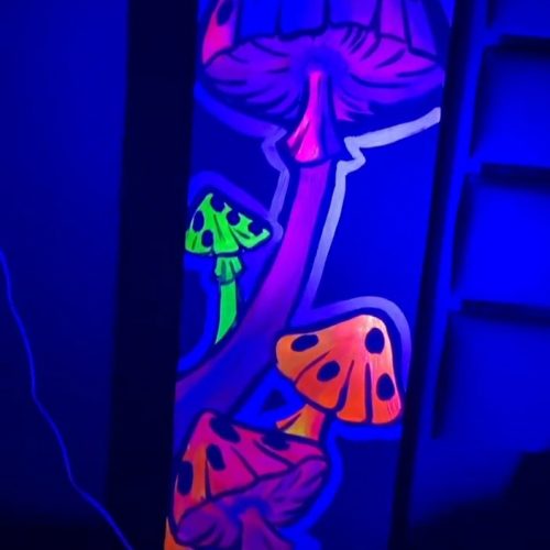 نقاشی بلک لایت روی بوم