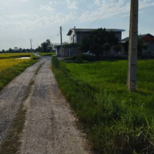فروش زمین درکابل روستای محمودآباد 600متردونبش