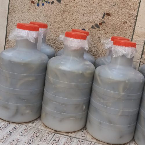 فروش خیار شور