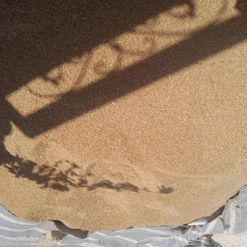 گندم فروشی خارجی