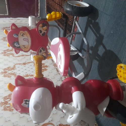 دوچرخه بچه گانه