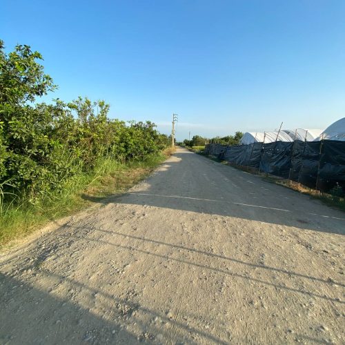 قیمت توافقی