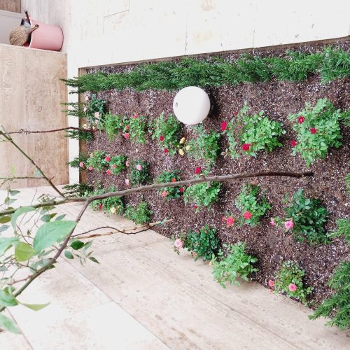 باغبانی باغچه کاری گل کاری تعویض خاکگلدان در منزل