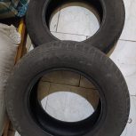 لاستیک تیبا کوییک و ساینا