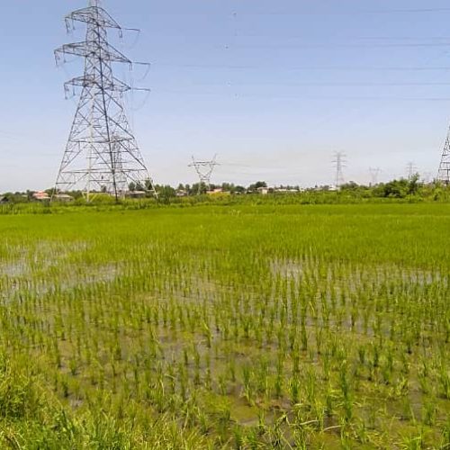 زمین کشاورزی 3670 متر