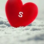 دونبال سرای داری استم