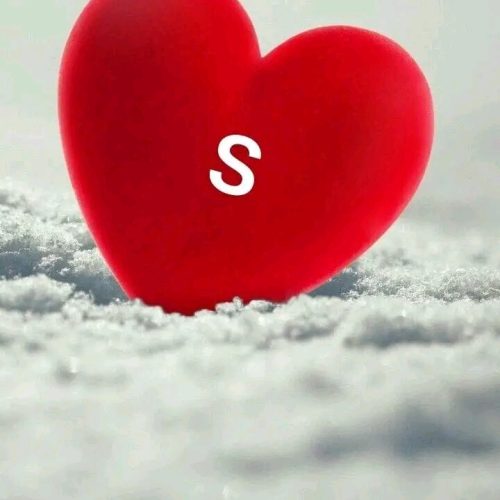 دونبال سرای داری استم