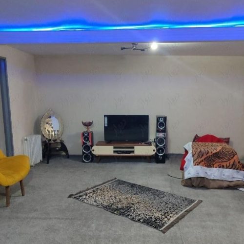 ویلا دیزین برف