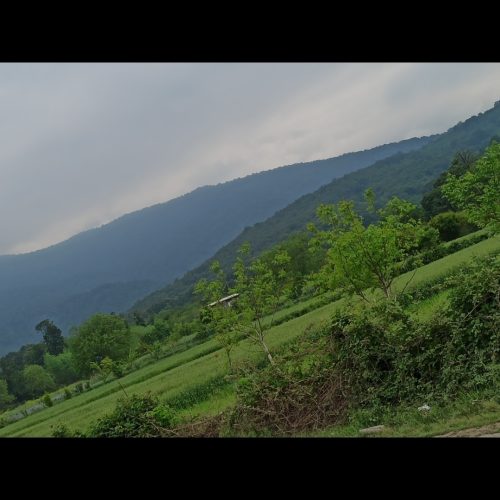 زمین باغی ب قیمت