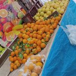 5عدد تخت میوه فروشی و غیره